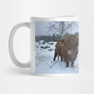 Scottish Highland Cattle Bull 2206 Mug